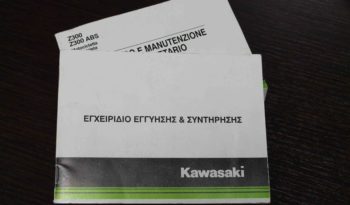 Kawasaki, Z300 full