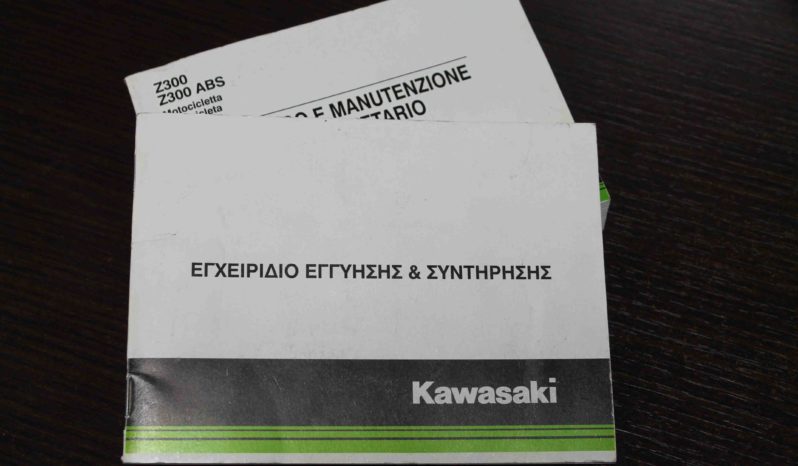 Kawasaki, Z300 full
